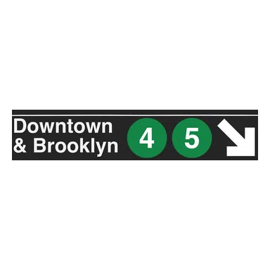 Downtown & Brooklyn